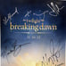 Twilight Cast Signed 11x17 Poster Comic Con Breaking Dawn