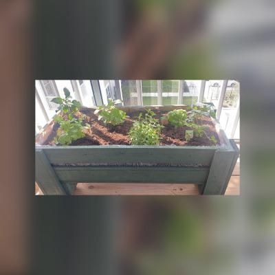 flower pots