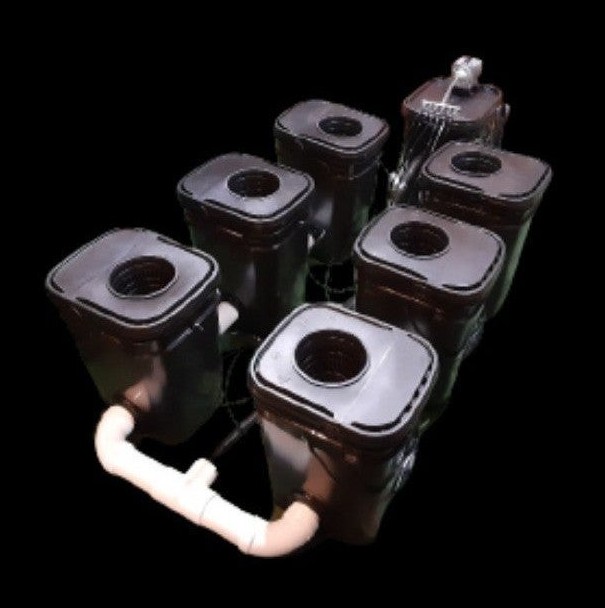 6-Plant Deluxe RDWC hydroponic system with Main Control Reservoir (37-Gallons)