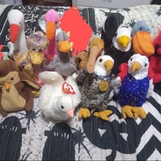 Beanie Baby Bundle #13 Birds