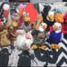 Beanie Baby Bundle #13 Birds