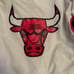 Chicago Bulls Mitchell and Ness warmup jacket