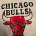 Chicago Bulls Mitchell and Ness warmup jacket