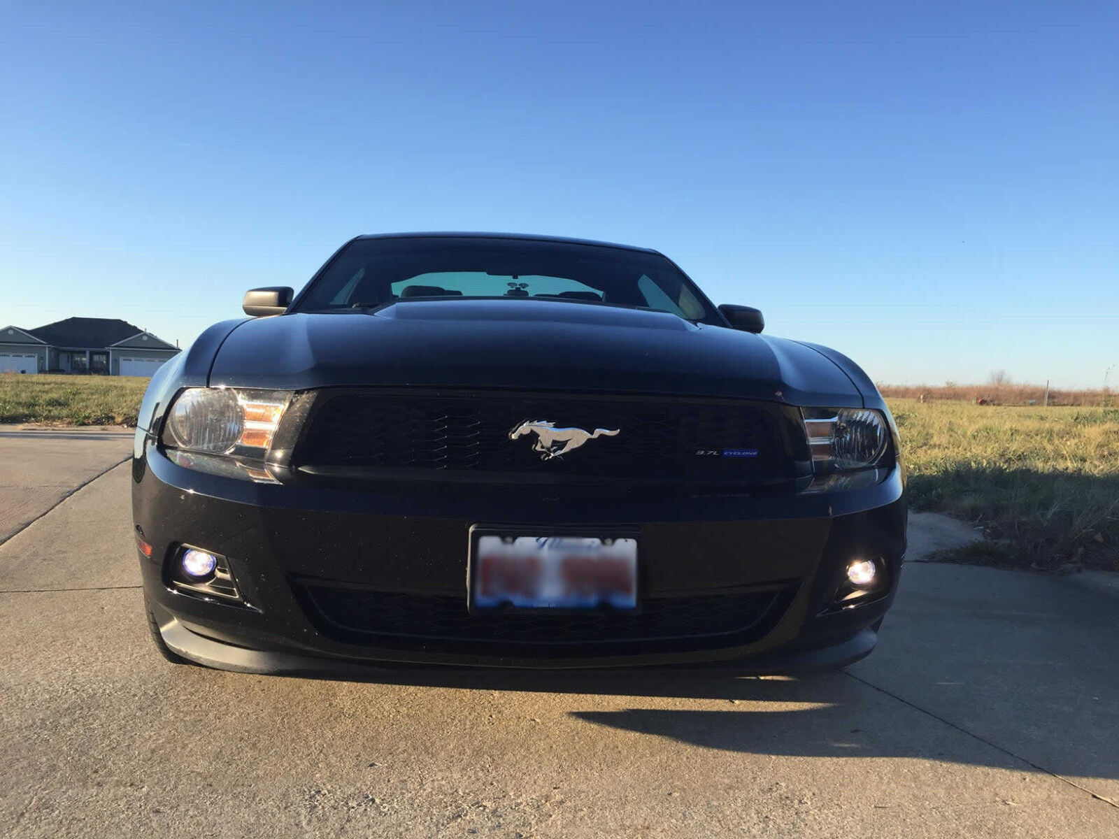 LED Halo Fog Lights For 2010 2011 2012 Ford Mustang V6 Club of America 203A