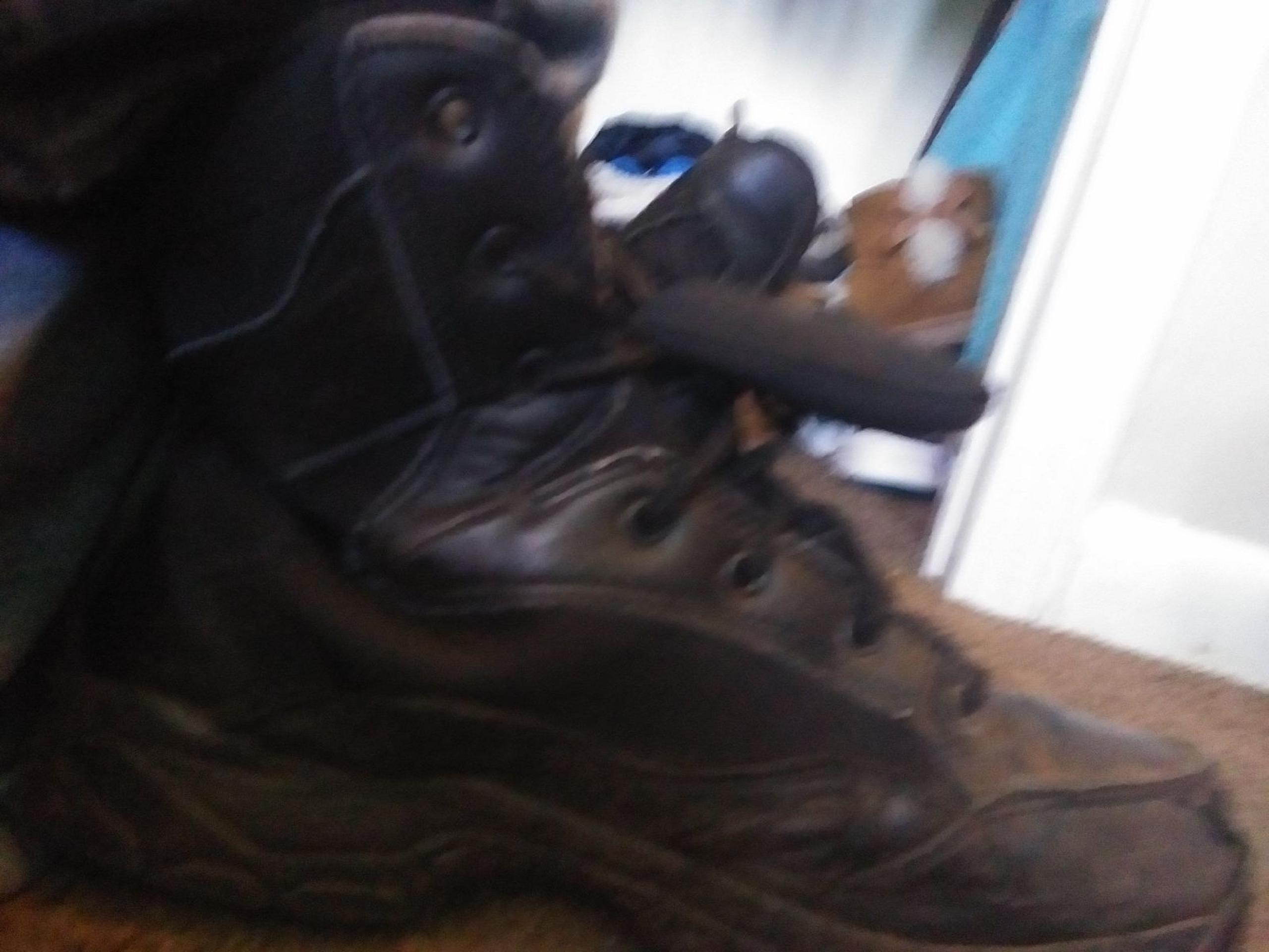 shoes