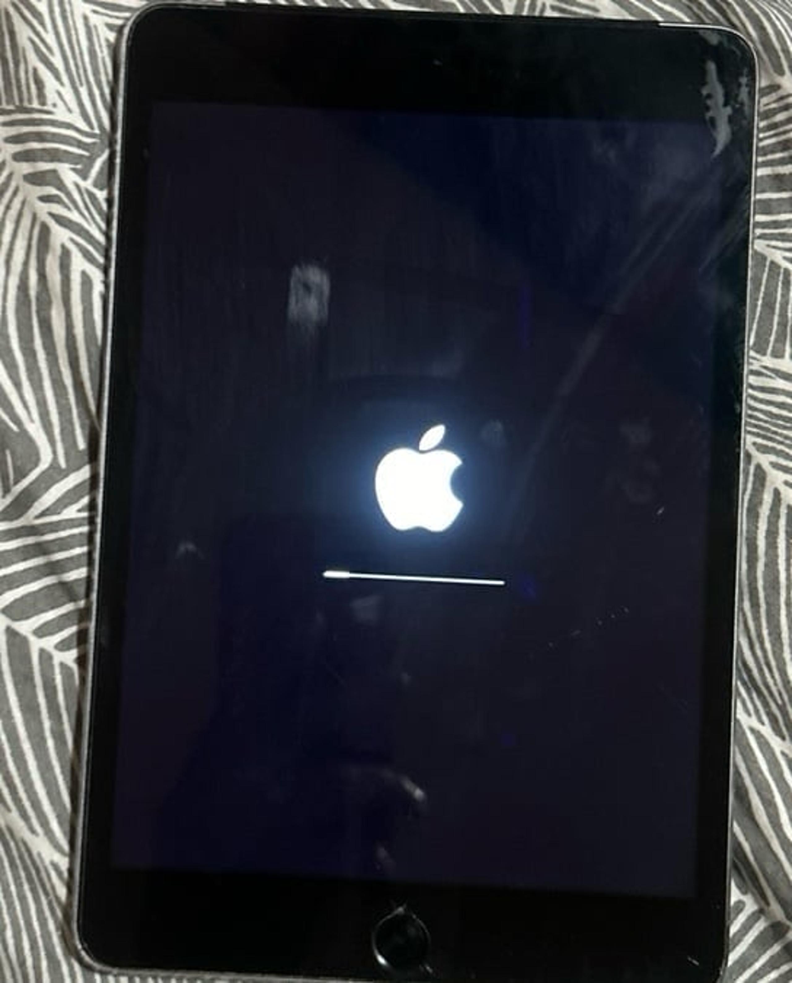 Apple iPad Mini 4th Generation 64 GB
