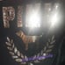 VS PINK GOLD BLING VELOUR JOGGER SET XL