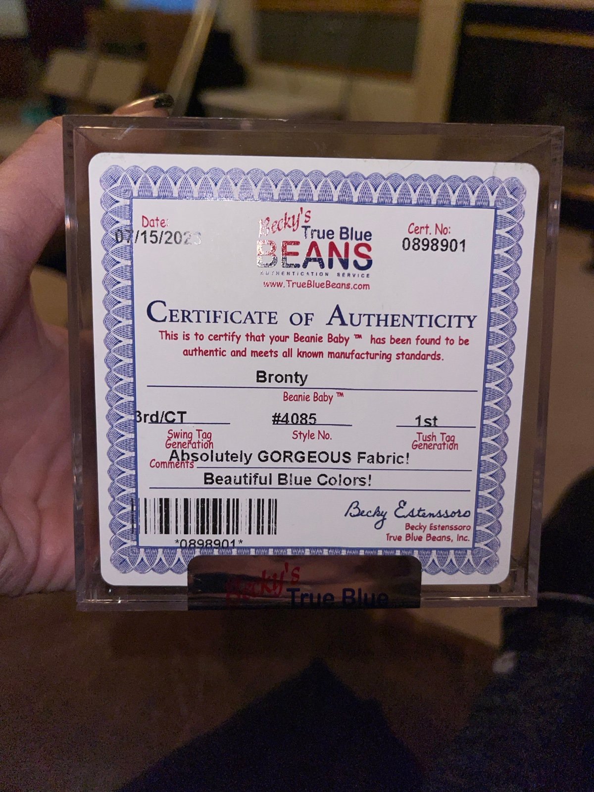 Ty Bronty 3/1 beanie baby TBB CT Absolutely gorgeous fabric