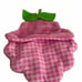 Vintage Strawberry Shortcake Raspberry Tart Sweet Sleeper Doll & Pet Relined Bag
