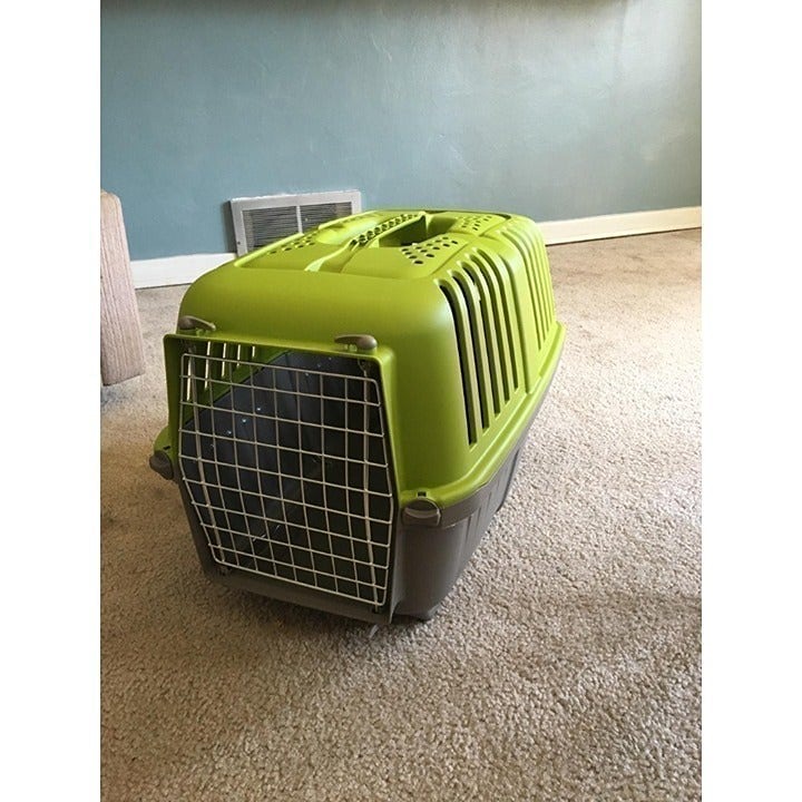 Pet Carrier Hard-Sided Dog Carrier Cat Carrier Small Animal Carrier in Green