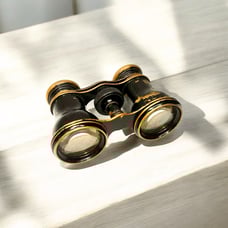 Antique Brass Opera Glasses Binoculars