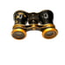 Antique Brass Opera Glasses Binoculars