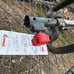 Poulan Pro Pruner PP130 30cc Gas Pruner No Attachment