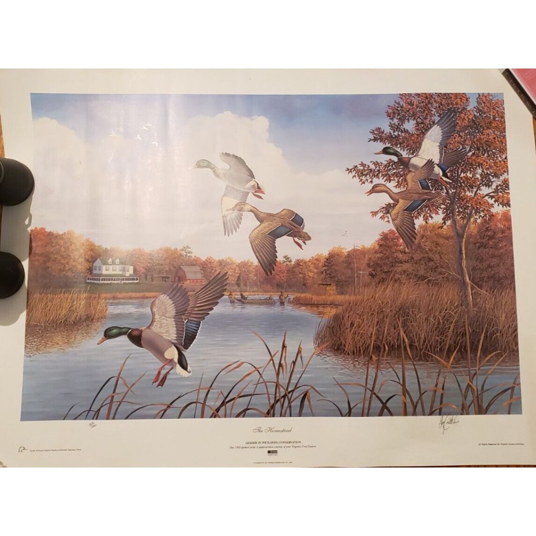 VTG 1993 Ducks Unlimited Print Signed Numbered The Homestead Mallards VA