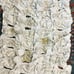 Lot of newborn cloth diapers (esembly and grovia)
