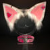 Kitten ears and choker set