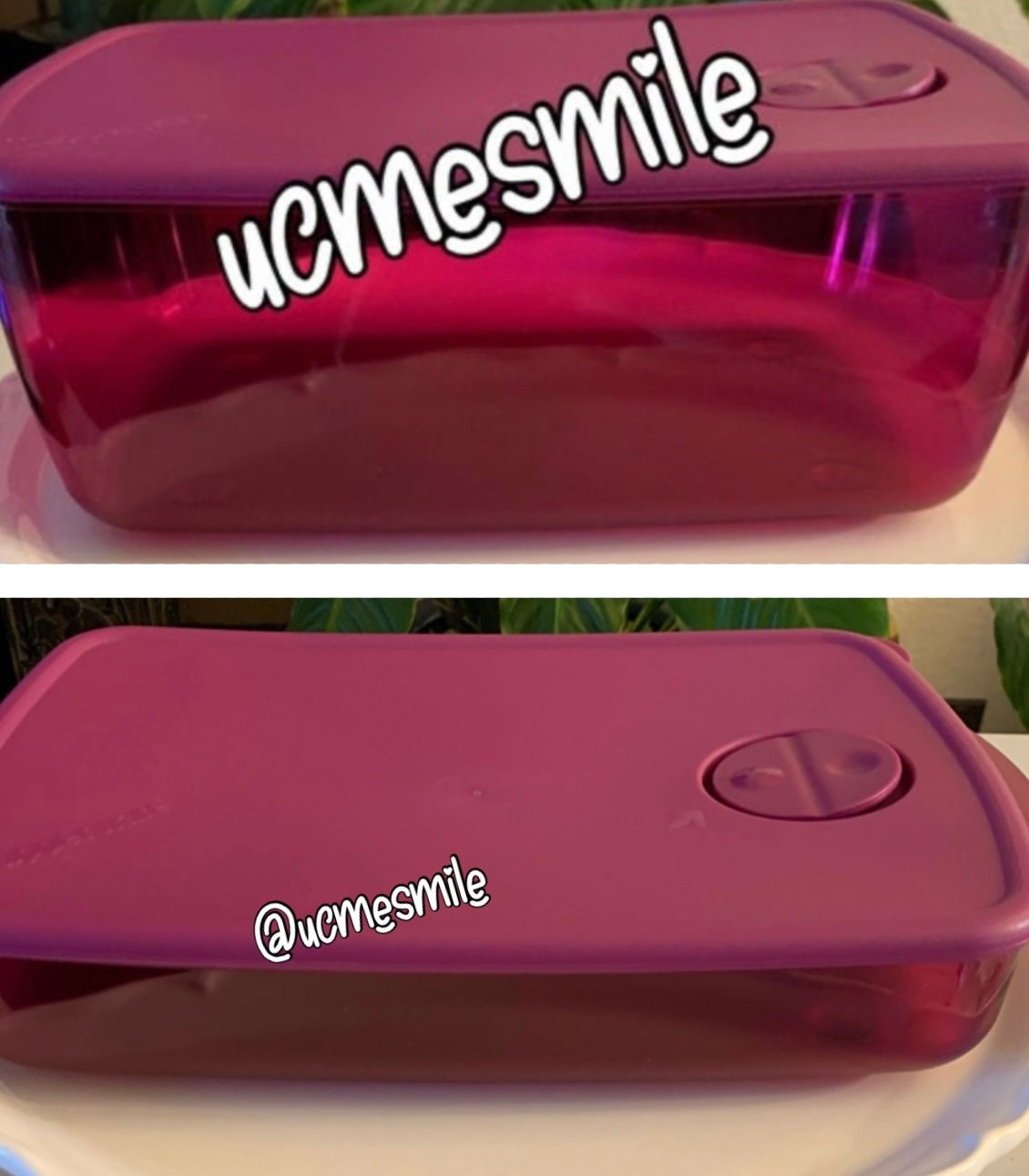 Tupperware Rock N Serve Container Set