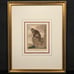 Antique 18th C. Framed Monkey Colored Engraving MOUSTAC By Comte de Buffon