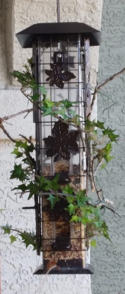 336-1SR Squirrel-Be-Gone Bird Feeder, 2LB Squirrel Proof Outdoor Wild