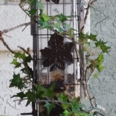 336-1SR Squirrel-Be-Gone Bird Feeder, 2LB Squirrel Proof Outdoor Wild