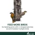 336-1SR Squirrel-Be-Gone Bird Feeder, 2LB Squirrel Proof Outdoor Wild