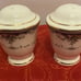 MONTPILLEIR MIKASA FLORAL SALT & PEPPER SHAKERS SET ~GORGEOUS~JAPAN ~RARE