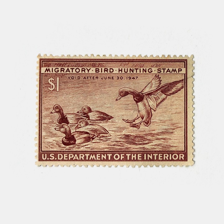1946 1 Federal Duck Stamp - Redhead Ducks