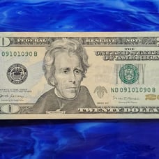 Fancy 20 dollar US bank note 09101090 serial number