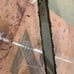 Vintage Homelite XL Chain Saw Limb Saw