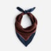 Madewell Medium Silk Bandana