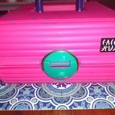 Sassaby makeup case