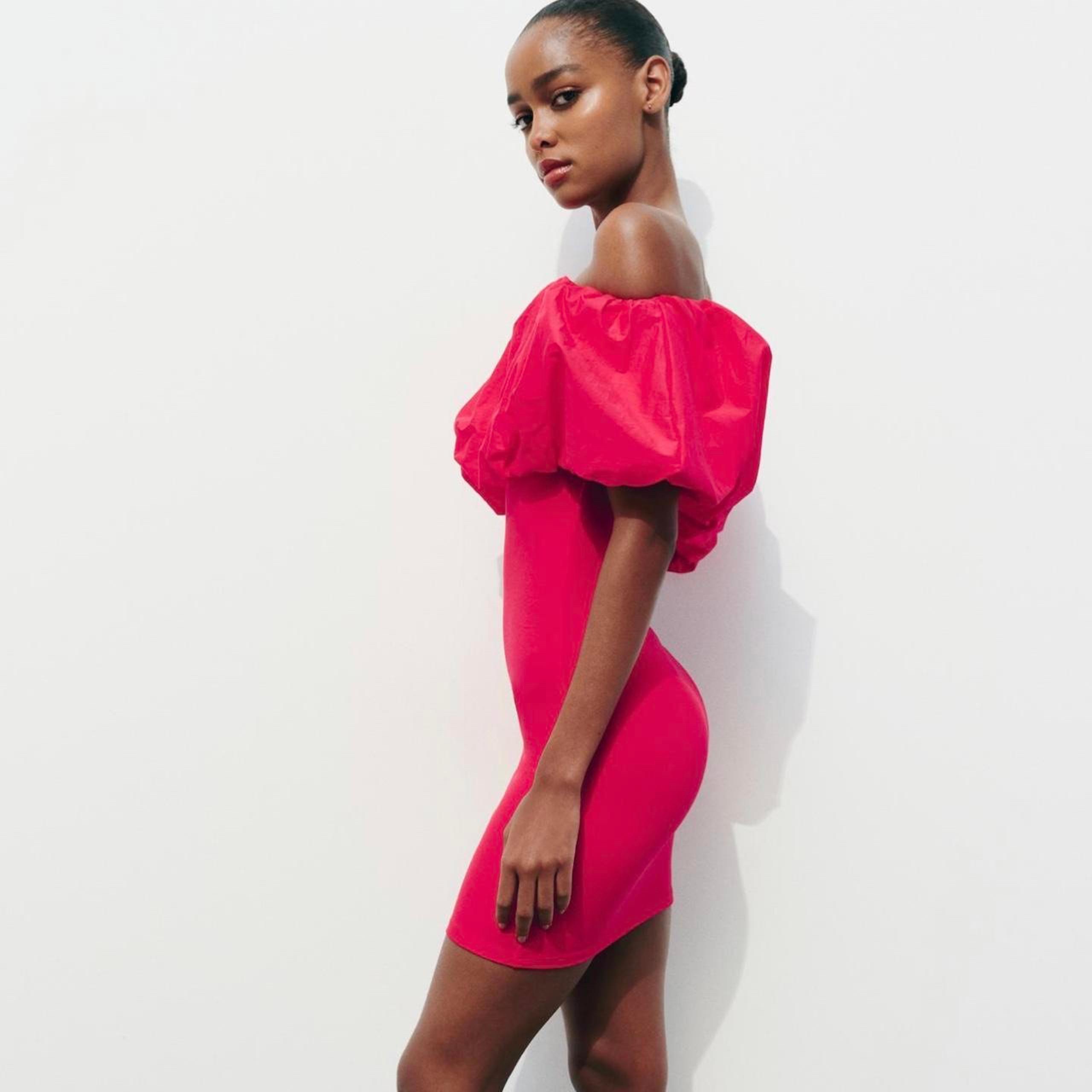 Zara Women's Pink Dress