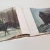 1st Edition Book Signed by Famous Artist Jamie Wyeth!