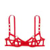 Victoria's Secret Strappy Lingerie