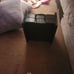 Pet ladder