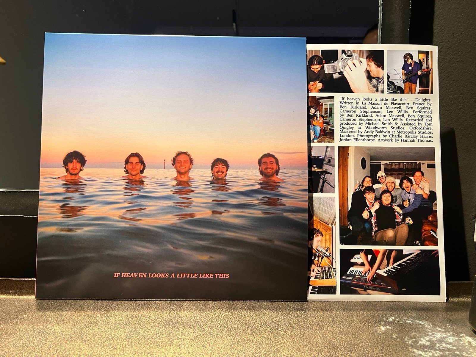 Delights If Heaven Looks a Little Like This Vinyl