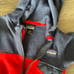 Patagonia Hooded Fleece Jacket Blue and Red