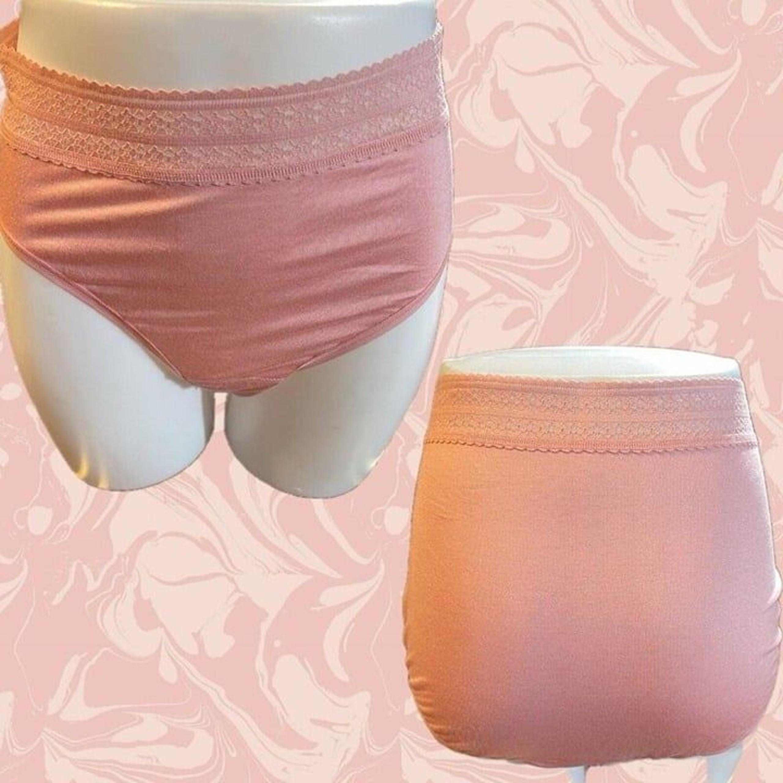 Hanky Panky Plus 3X Pink Stretch Lace Modal Blend Waistband French Brief Panties