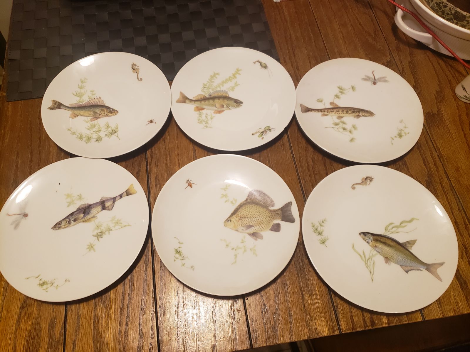Bareuther waldsassen Germany fish plate set