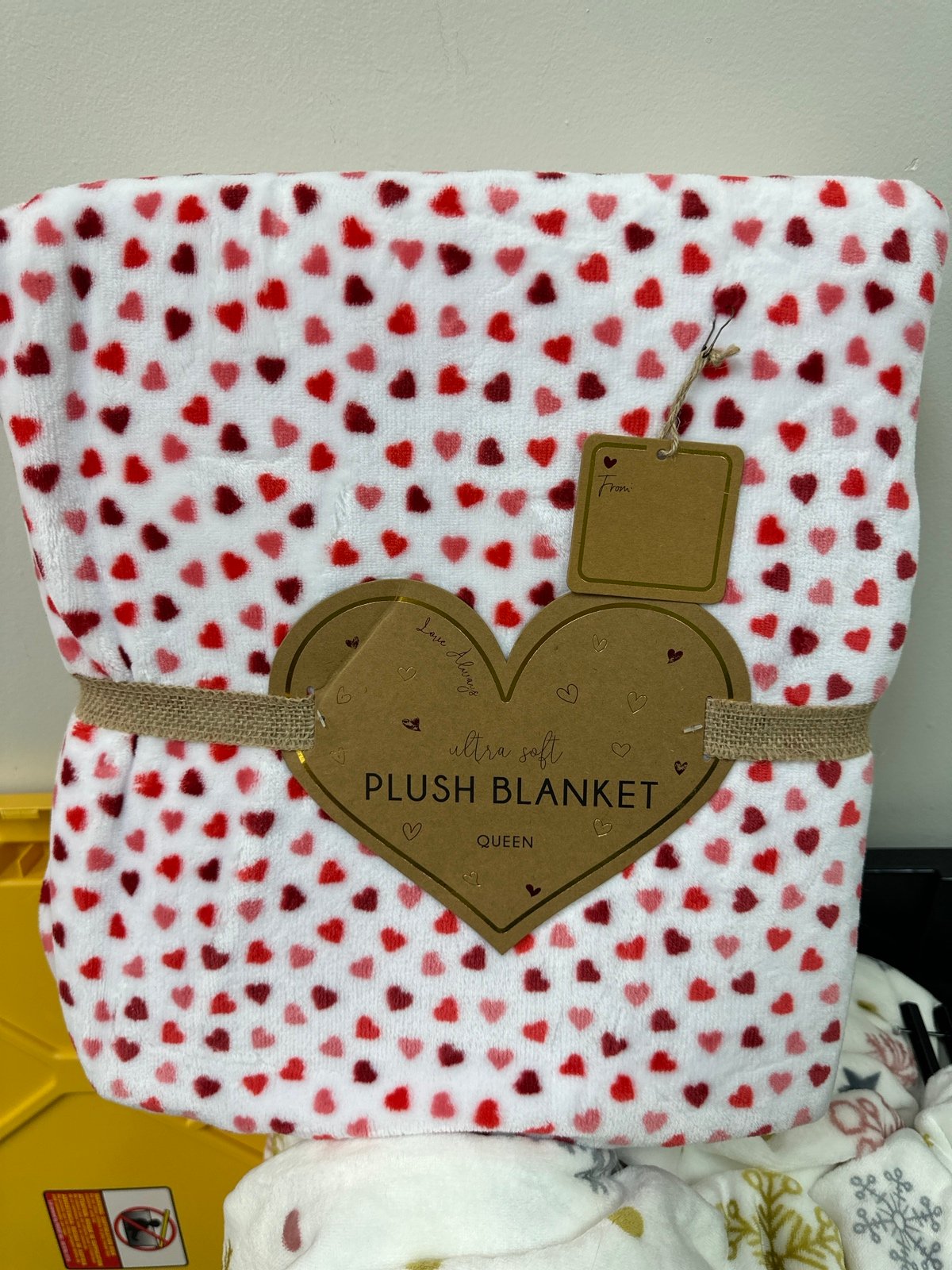 Pink Red Hearts Full/Queen Blanket