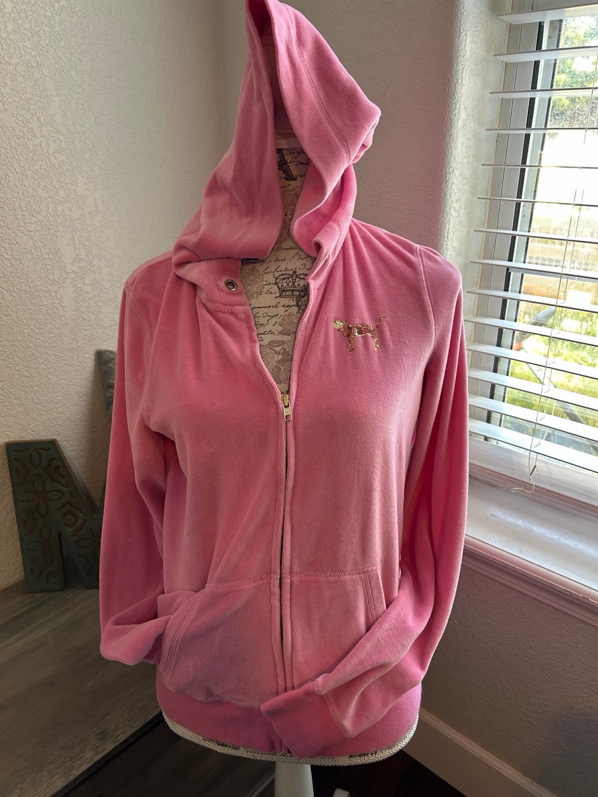 PINK bling hoodie