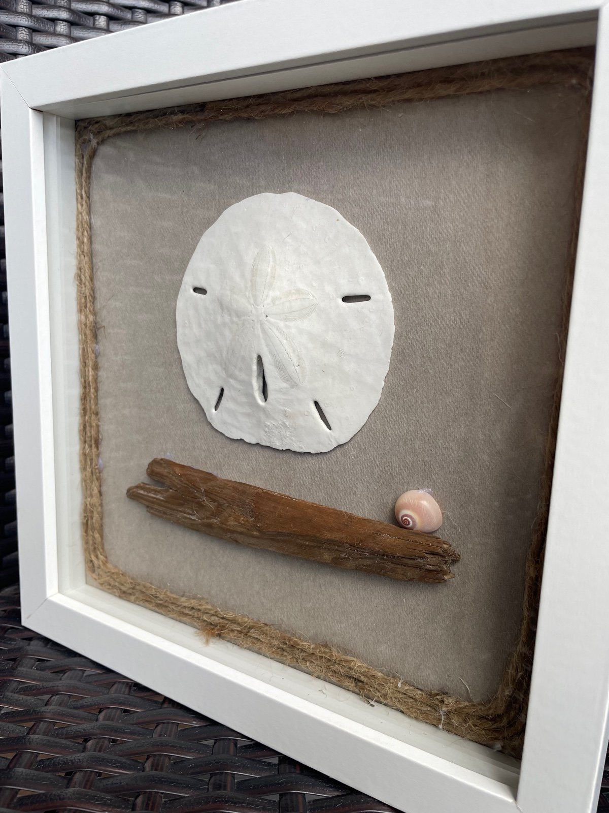 Sand Dollar, Shell, Wood Coastal Decor Shadowbox