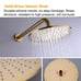 Gold shower head system new