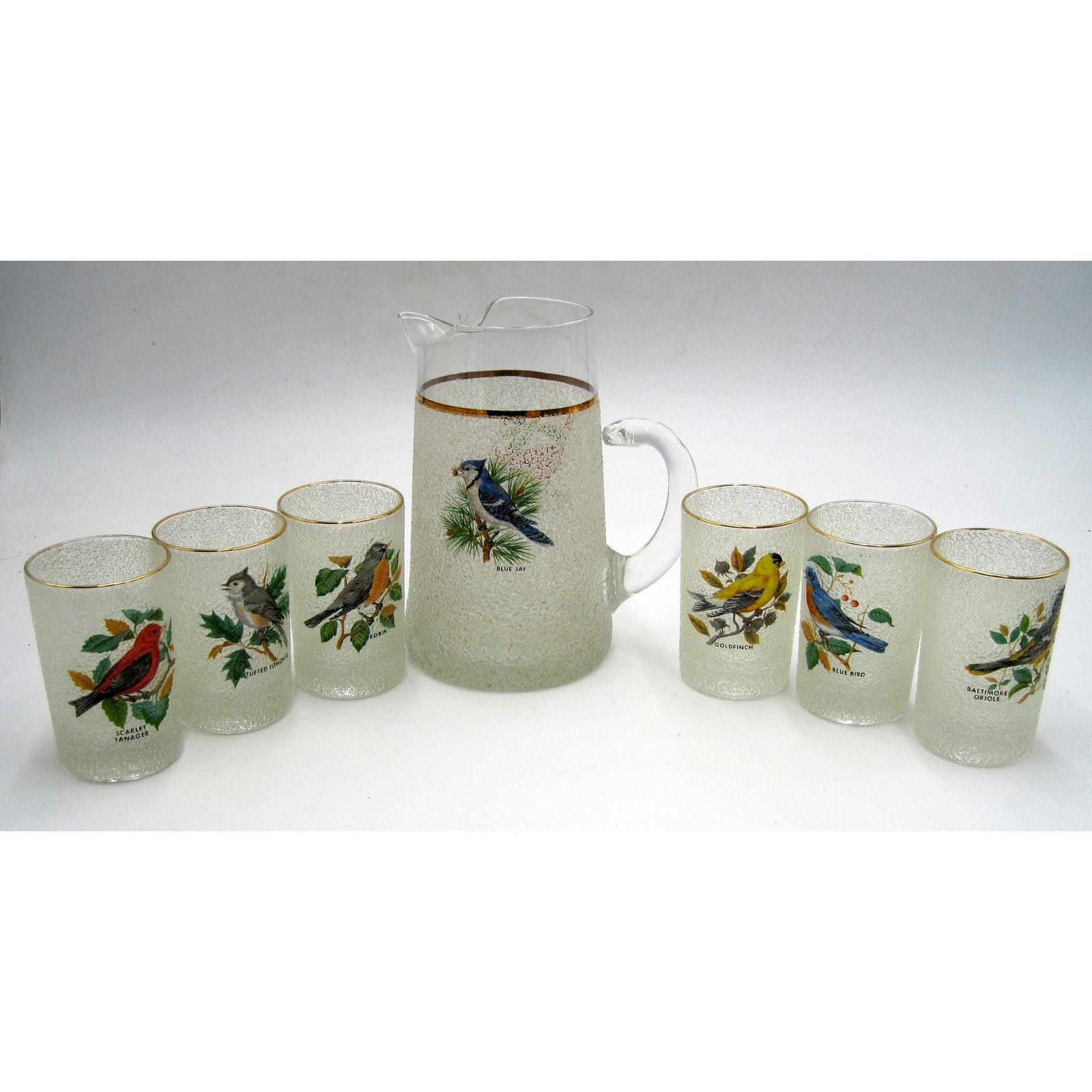 West Virginia Glass Song Birds Frosted Textured .75 Qt Pitcher+6-8 Oz Glasses