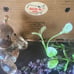 Wooden & wicked Heavy Basket Vintage Gilland’s Happy Crafts