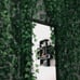 12 Strands Artificial Ivy Leaf Plants 84 FT