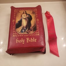 Holy Bible The Holy Angel Edition 1955 Rev John P O'Connell Red Leather Bound