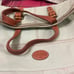 Fossil Light Green Leather