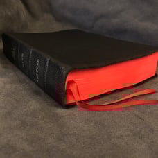 NASB New American Standard hebrew-greek key word study Bible Wide Margin AMG