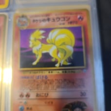 Japanese brock's nine tails